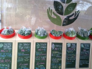 Hydroponic produce options at New Iberia's Creole Market (officially opened March 22).