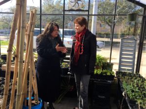 Cufone give Harden a tour of the urban farm's flourishing greenhouse.