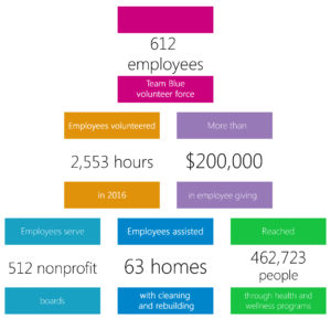 bcbs foundation 2016 community partnerships report infographic.