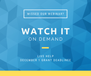 BCBS Foundation December Grant webinar.
