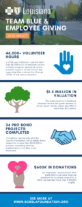 BCBS Foundation Charity Infographic.
