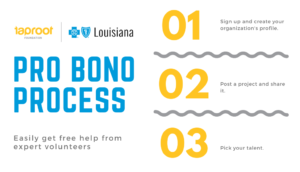 BCBS Foundation Taproot graphic.
